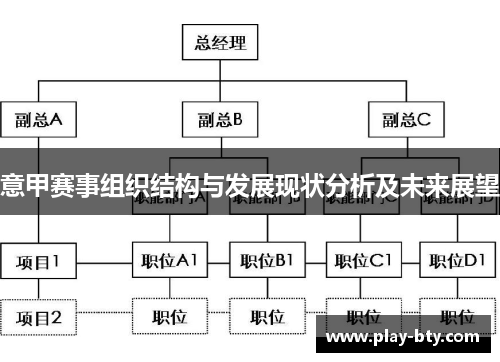 意甲赛事组织结构与发展现状分析及未来展望