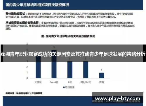 深圳青年职业联赛成功的关键因素及其推动青少年足球发展的策略分析
