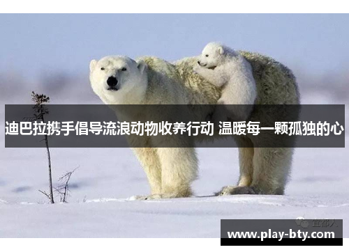 迪巴拉携手倡导流浪动物收养行动 温暖每一颗孤独的心