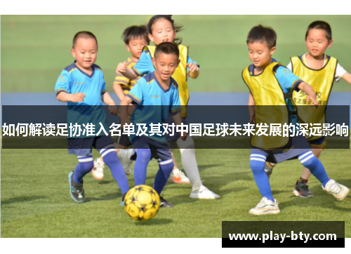 如何解读足协准入名单及其对中国足球未来发展的深远影响