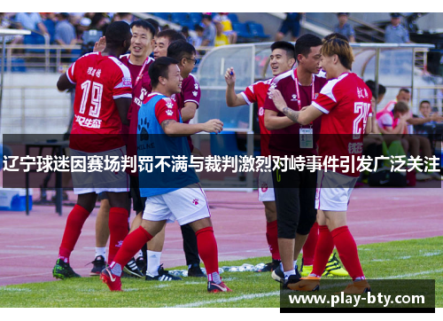 辽宁球迷因赛场判罚不满与裁判激烈对峙事件引发广泛关注