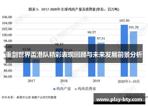 重剑世界盃港队精彩表现回顾与未来发展前景分析
