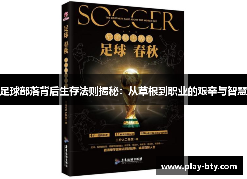 足球部落背后生存法则揭秘：从草根到职业的艰辛与智慧