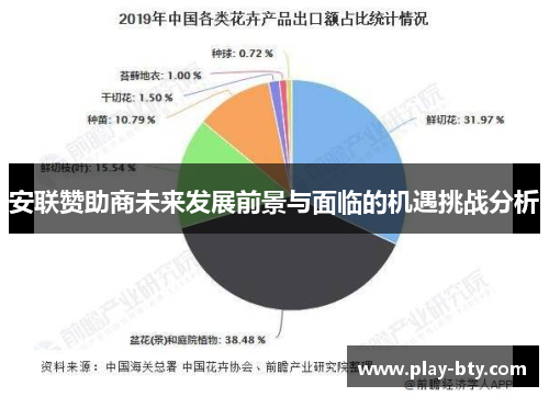 安联赞助商未来发展前景与面临的机遇挑战分析