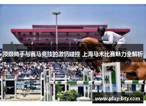 顶级骑手与赛马竞技的激情碰撞 上海马术比赛魅力全解析 顶级骑手与赛马竞技的激情碰撞 上海马术比赛魅力全解析